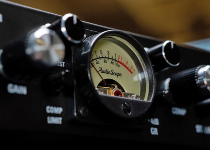 D3A Dual Leveling Amplifier