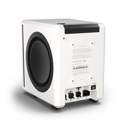 Palmer ORBIT 11
