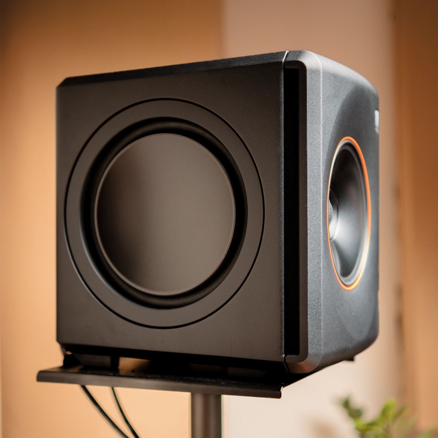 Palmer ORBIT 11