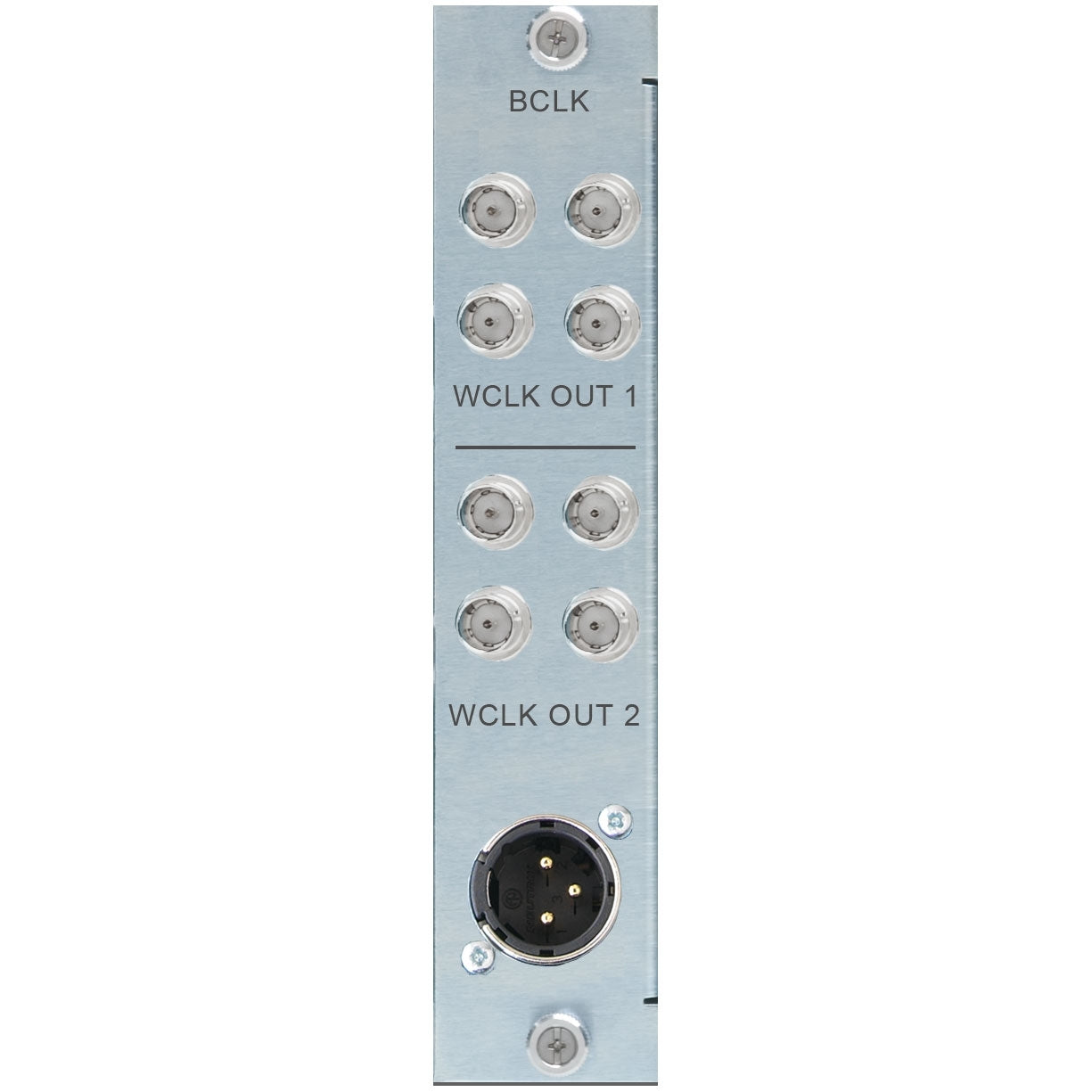 Burl Audio BCLK Word Clock Card Detail