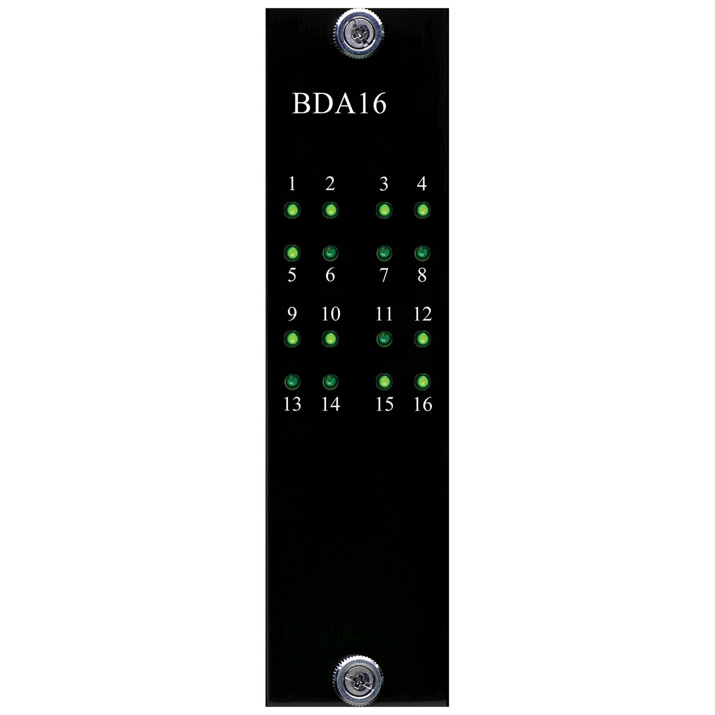 Burl Audio BDA16 D/A Converter Card Frontplatte