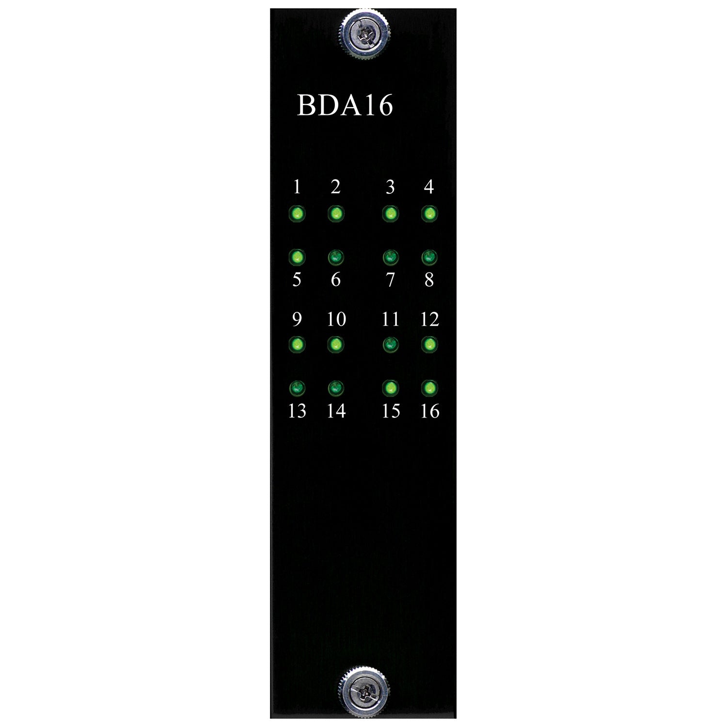 Burl Audio BDA16 D/A Converter Card Frontplatte